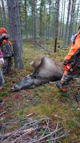 DSC_3437