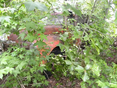 DSCN9742