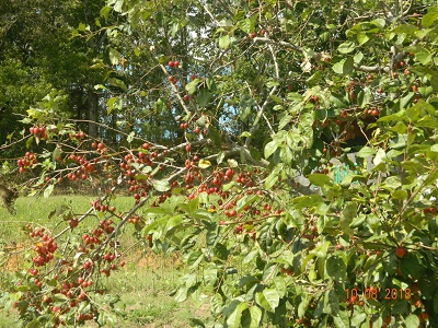 DSCN9873