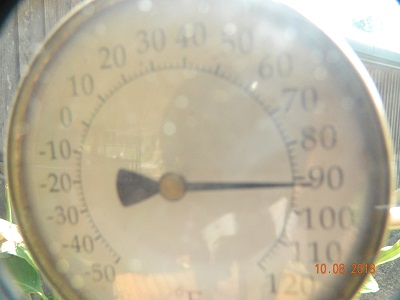 DSCN9878