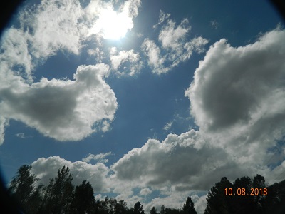 DSCN9877