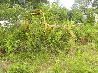 DSCN9743