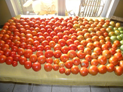 DSCN9921