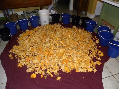 DSCN9511