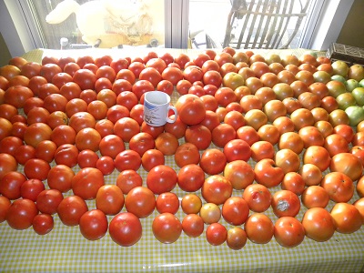 DSCN9922
